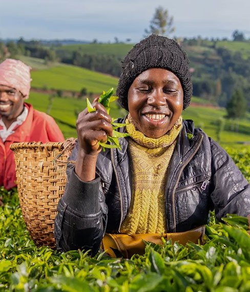 East Africa’s Gateway to Premium Tea Trade